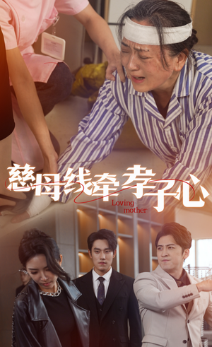慈母线牵孝子心（60集）排行榜前十短剧