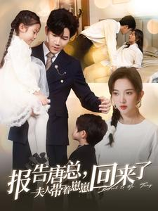 报告唐总夫人带着崽崽回来了（100集）在线观看全集