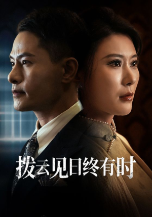 拨云见日终有时(30集) 拨云见日终有时(30集)好看的短剧推荐
