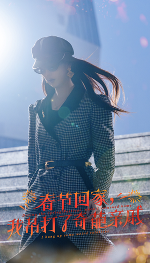 春节回家,我吊打了奇葩亲戚(30集) 春节回家,我吊打了奇葩亲戚(30集)免费观看全集