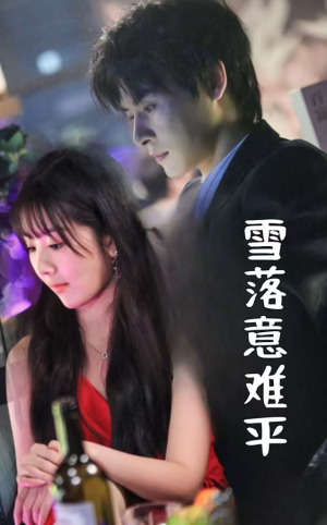 雪落意难平(35集) 雪落意难平(35集)最热短剧推荐