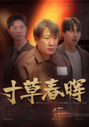 寸草春晖（31集）看过的人都说好