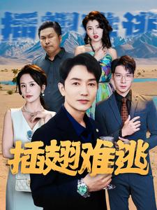 插翅难逃（43集）在线观看完整版