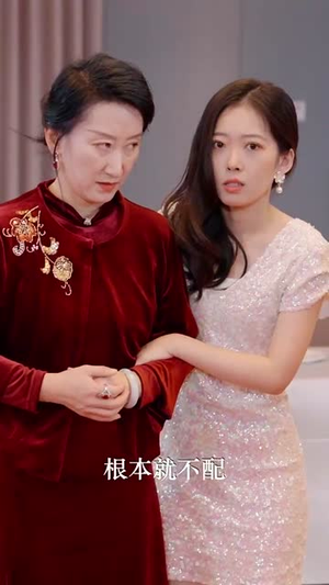 婚礼上的陌生人（65集）全集一次看完