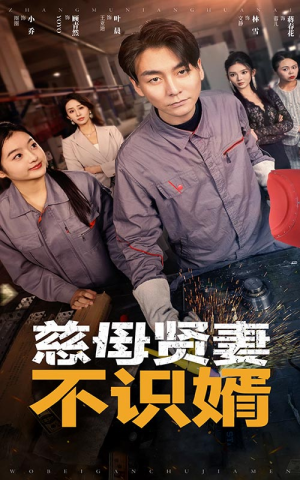 慈母贤妻不识婿(45集) 慈母贤妻不识婿(45集)80到100集