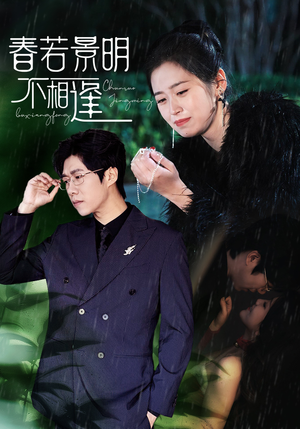 春若景明不相逢（50集）好看上头的短剧