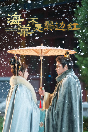 海棠不是鬓边红（30集）演员表