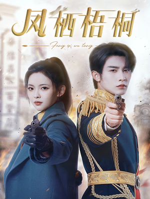 凤栖梧桐(68集) 凤栖梧桐(68集)一共多少集