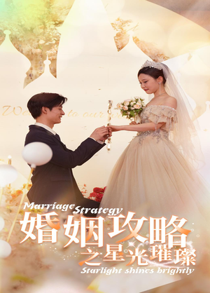 婚姻攻略之星光璀璨（32集）看到大结局