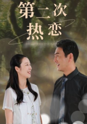 第二次热恋(48集) 第二次热恋(48集)短剧爆款推荐
