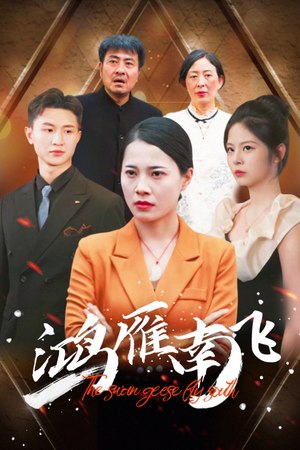 鸿雁南飞（64集）短剧中追到爽