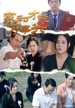 家和才能万事兴（30集）热门短剧在线看