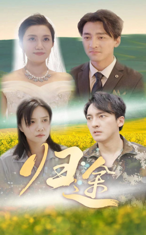 归途（52集）怎么看全集