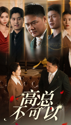 高总不可以（45集）精彩短剧天天看