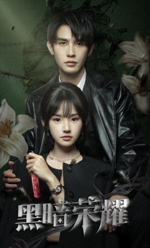 黑暗荣耀（66集）热门短剧追不停