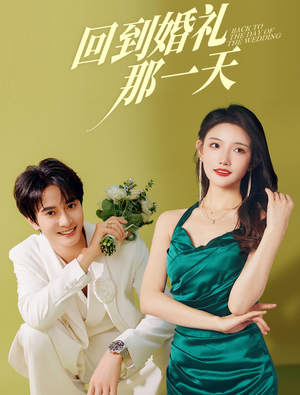 回到婚礼那一天(88集) 回到婚礼那一天(88集)高分佳作免费看