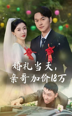 婚礼当天,亲哥加价18万(36集) 婚礼当天,亲哥加价18万(36集)在线播放