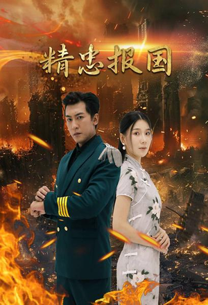 精忠报国(61集) 精忠报国(61集)好看吗