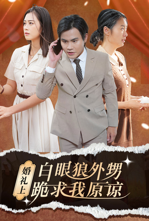 婚礼上白眼狼外甥跪求我原谅(35集) 婚礼上白眼狼外甥跪求我原谅(35集)解说