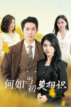 何如当初莫相识(36集) 何如当初莫相识(36集)夸克网盘观看