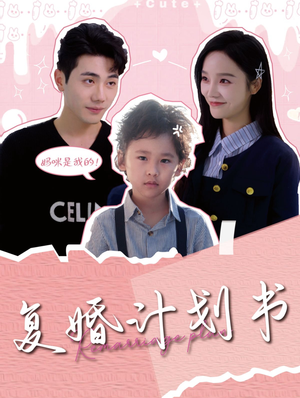 复婚计划书（96集）高分佳作免费看