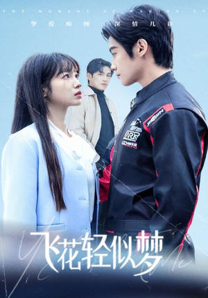 飞花轻似梦(37集) 飞花轻似梦(37集)演的怎么样