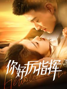 你好厉指挥(100集) 你好厉指挥(100集)集免费看短剧