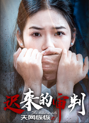 天网恢恢之迟来的审判(31集) 天网恢恢之迟来的审判(31集)完整版免费观看
