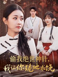 偷我绝世神针,我让你跪地求饶(30集) 偷我绝世神针,我让你跪地求饶(30集)真的好看吗