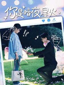 你是暗夜星火（120集）短剧太好看