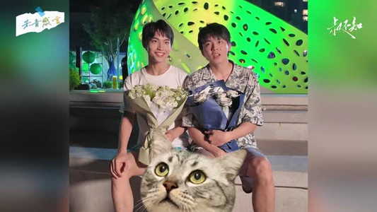 叔不知(12集) 叔不知(12集)集免费看短剧