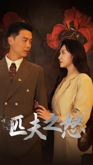 匹夫之怒（48集）免费短剧合集