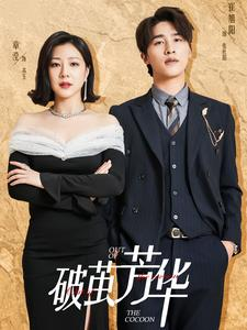 破茧芳华(80集) 破茧芳华(80集)爆火短剧推荐