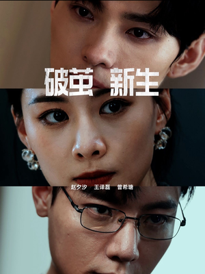 破茧新生(41集) 破茧新生(41集)全集