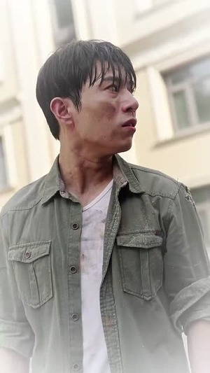 桃李满天下（33集）一共多少集