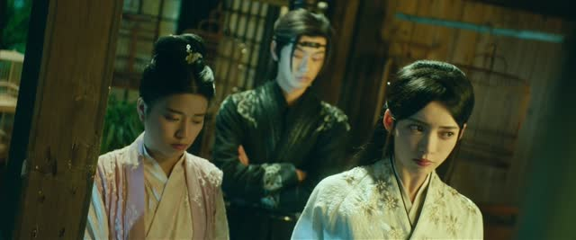 双花镜(20集) 双花镜(20集)短剧推荐分享