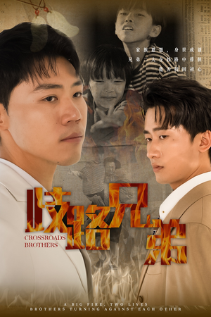 歧路兄弟(63集) 歧路兄弟(63集)热门短剧在线看