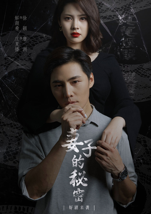 妻子不能说的秘密(30集) 妻子不能说的秘密(30集)直接看到大结局