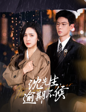 沈先生，逾期不候（75集）短剧有好货推荐