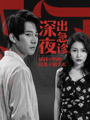 深夜出急诊，碰到小奶狗陪妻子做手术（50集）解说文案