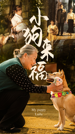 小狗来福(30集) 小狗来福(30集)好看的短剧分享