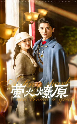 萤火燎原(50集) 萤火燎原(50集)看到了大结局