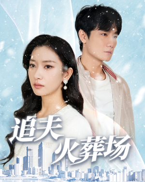 追夫火葬场（31集）好看的短剧