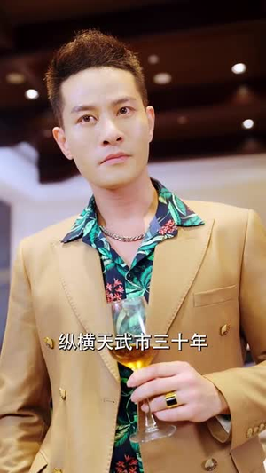 杏林逸韵(100集) 杏林逸韵(100集)短剧上头又好看