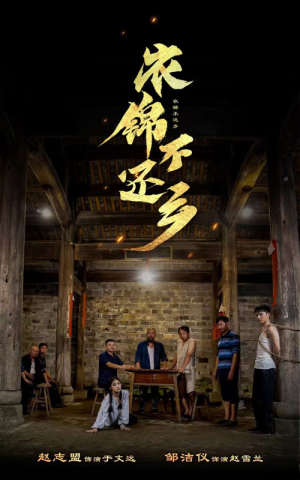 衣锦不还乡(69集) 衣锦不还乡(69集)每日短剧推荐