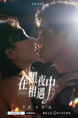 在黑夜中相遇（32集）好看短剧分享