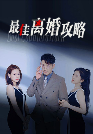 最佳离婚攻略(31集) 最佳离婚攻略(31集)这部短剧我爱了