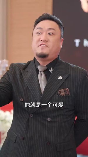 医圣仁心战神无双（91集）热门短剧大全