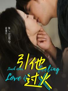 引他过火(40集) 引他过火(40集)解说
