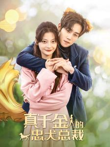 真千金的忠犬总裁（74集）免费看短剧全集